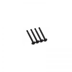 Alphacool Radiator M3 x 30 mm 4 lü Radyatör Vida Seti - Siyah